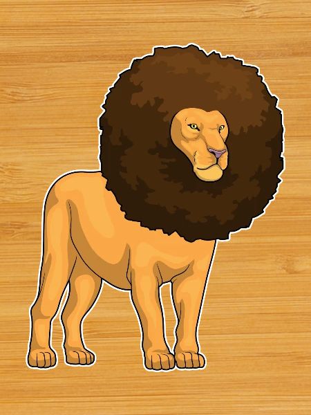 Lion Afro Hairstyle