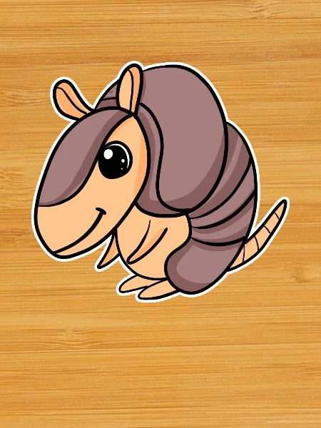 Armadillo's armadillo