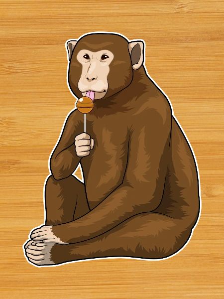 Monkey Lollipop