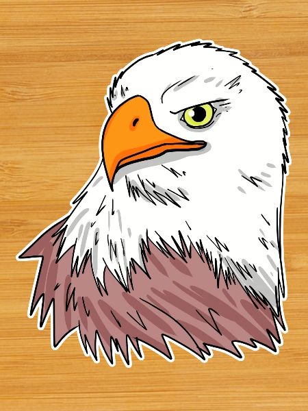 Eagle Bird
