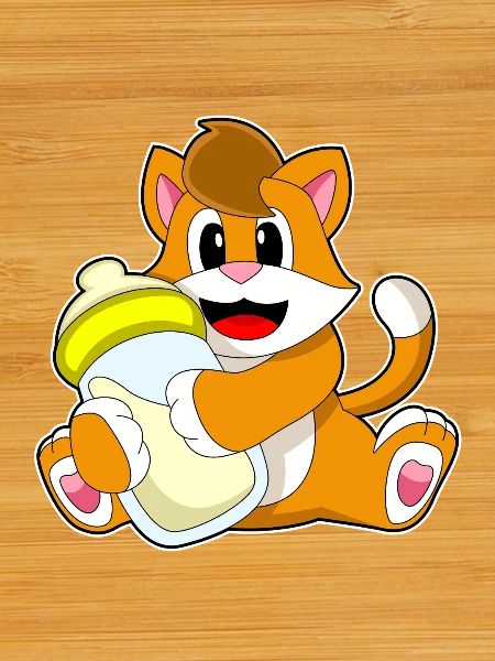 Lait biberon pour chat