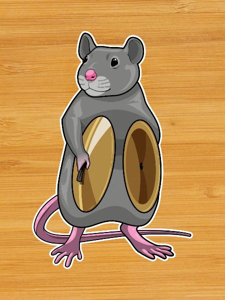 Rat Musician Cymbal Music