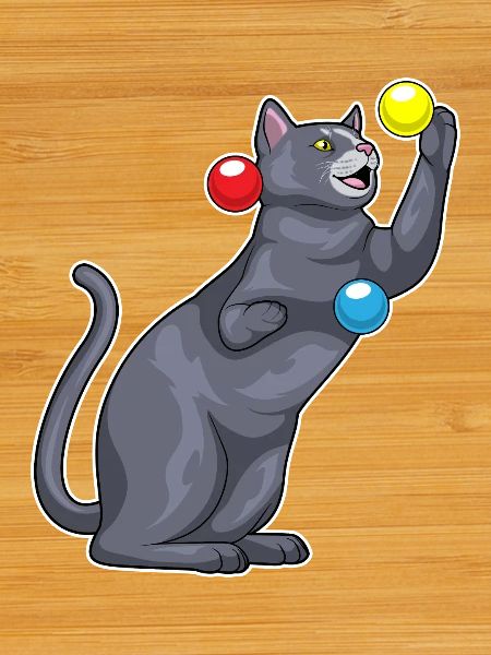 Cat juggler juggling