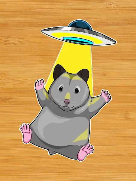 Hamster Spaceship Space