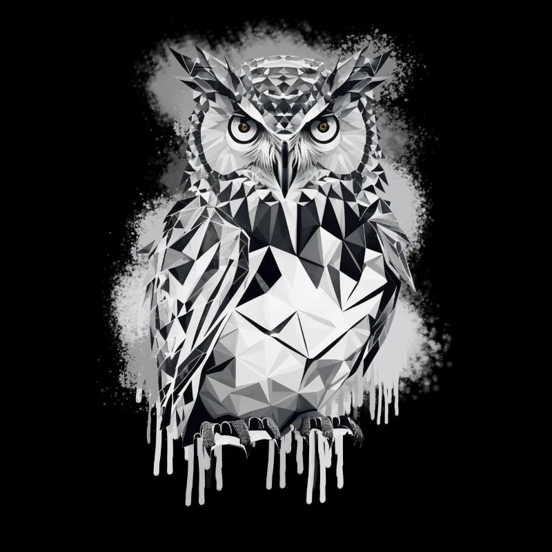 Geometric owl