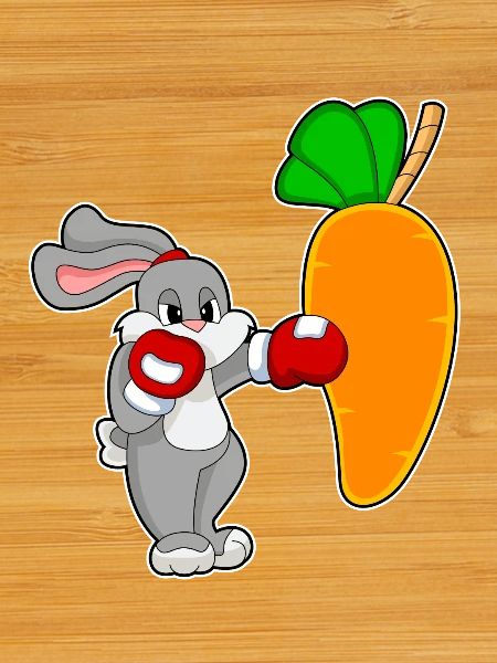 Rabbit Boxer Punching Bag Boxing