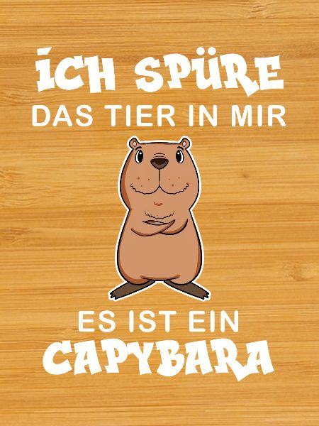 Capybara Wasserschwein Capybaras