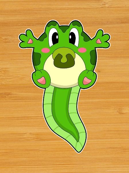 Frog Baby Pacifier