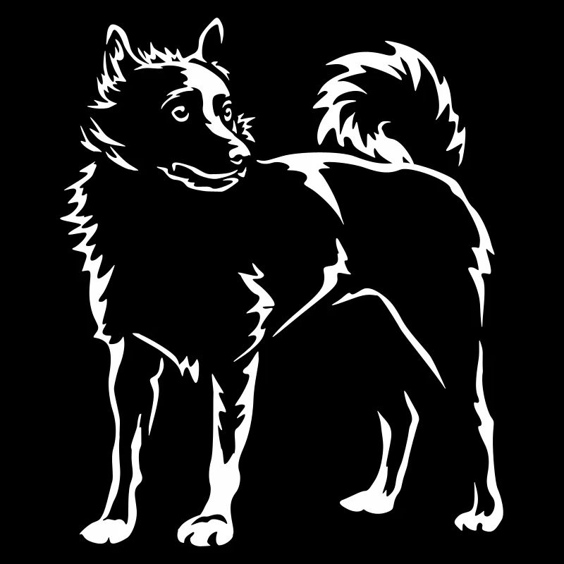 Schipperke « Édition Noire »