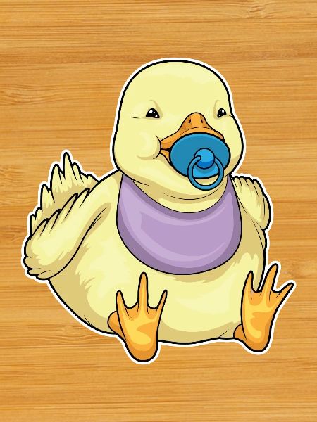 Duck Baby Bib Pacifier