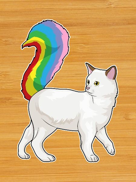 Katze Regenbogen