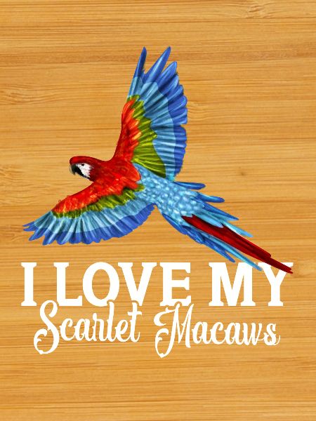 I love my Scarlet Macaws