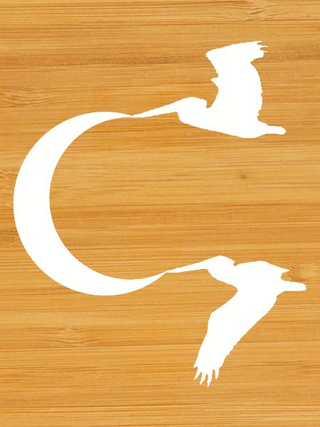 Vögel und der Mond