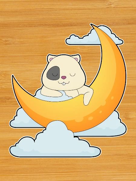 Hamster Moon