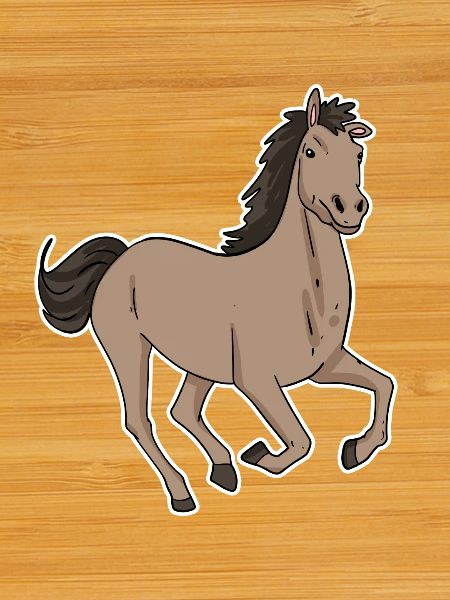 Cheval mignon - Équitation