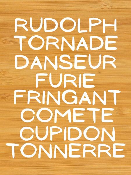 Noël, joyeuses fêtes, Rennes