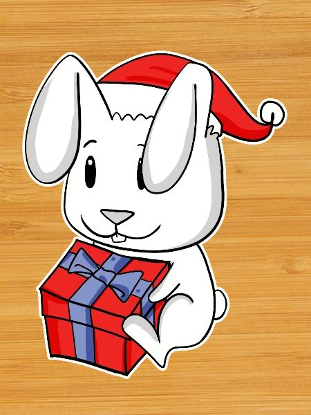 Rabbit with Christmas Santa Hat