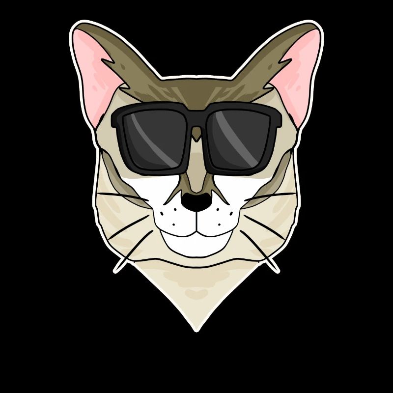 Singapura Katze mit Brille - coole Katze
