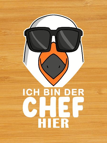 Chef Spruch mit Möwe Motiv