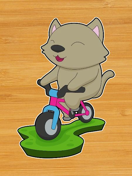 Vélo de chat