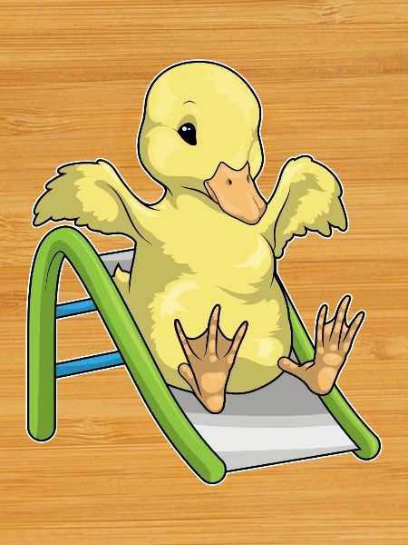Toboggan de canard