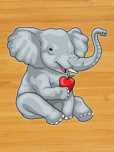 Elephant Apple