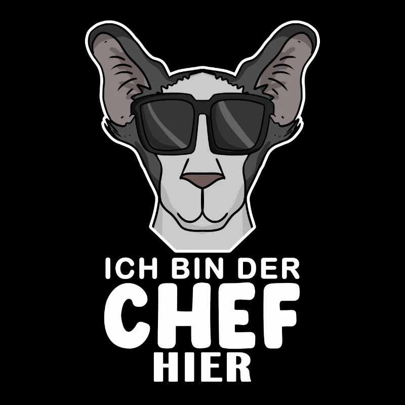 Chef Spruch Anführer Hund