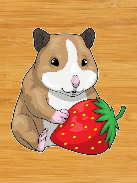 Hamster Strawberry