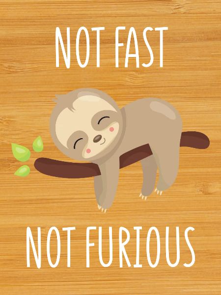 Not Fast, Not Furious