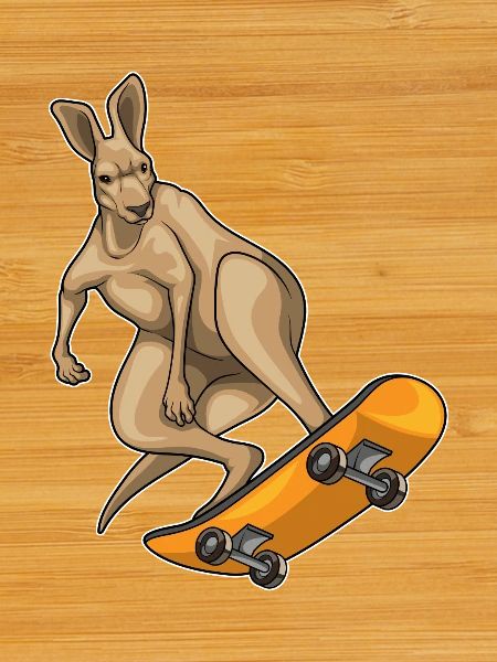 Kangaroo Skater Skateboard Sport