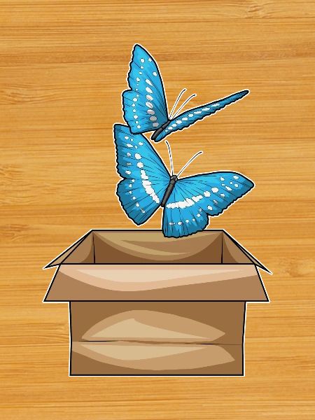 Butterfly Cardboard