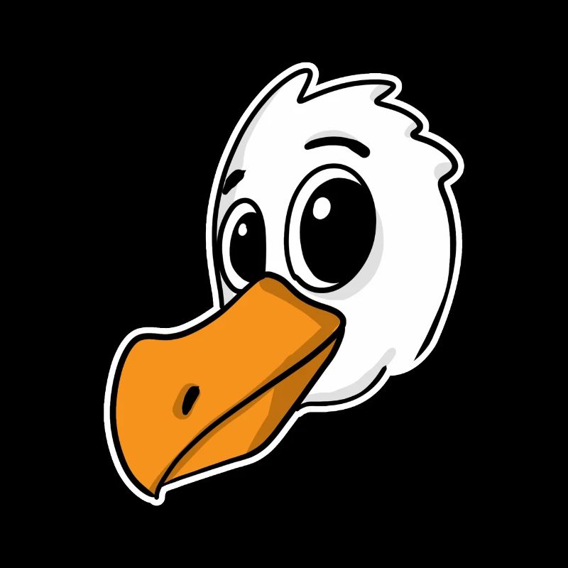 Oiseau Mouette Mer du Nord