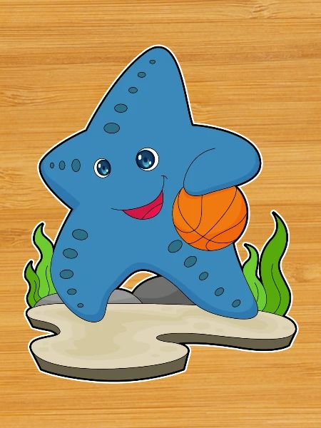 Starfish Basketteur Basketteur