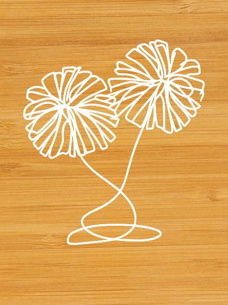 Cheerleader pompoms Drawing