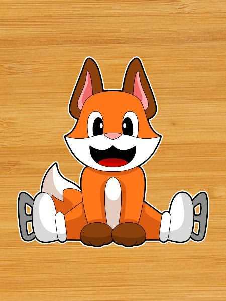 Patins à glace Fox