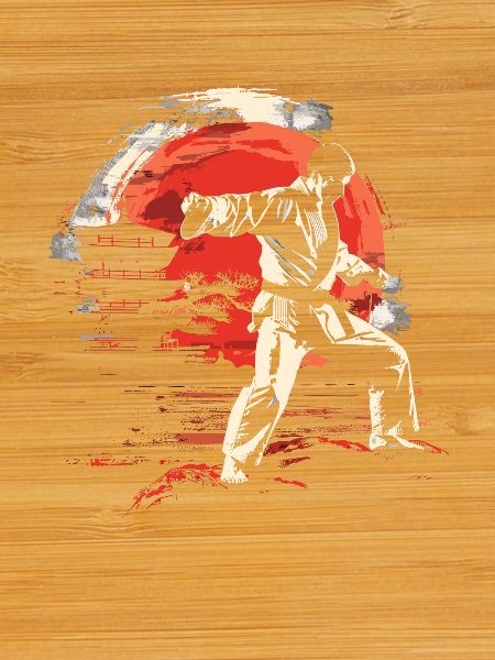 Graphiques Karateka