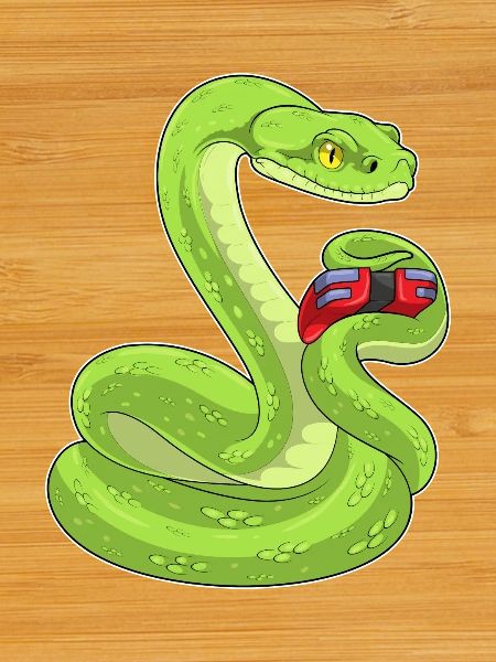 Snake Gamer Controller