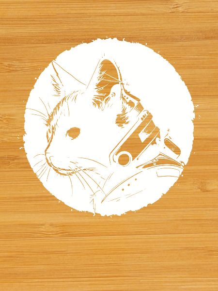 Steampunk Cat