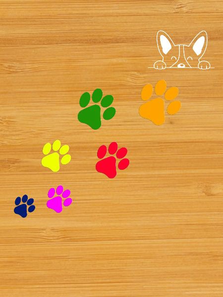 Dog paw prints