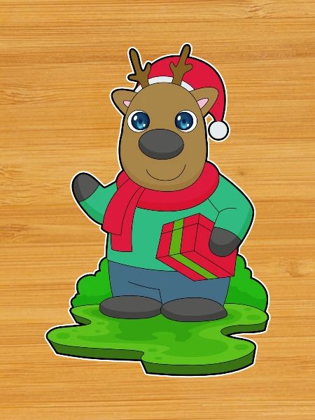 Reindeer Christmas Package