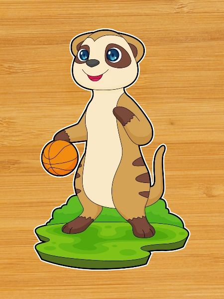Meerkat Basketteur Basketteur