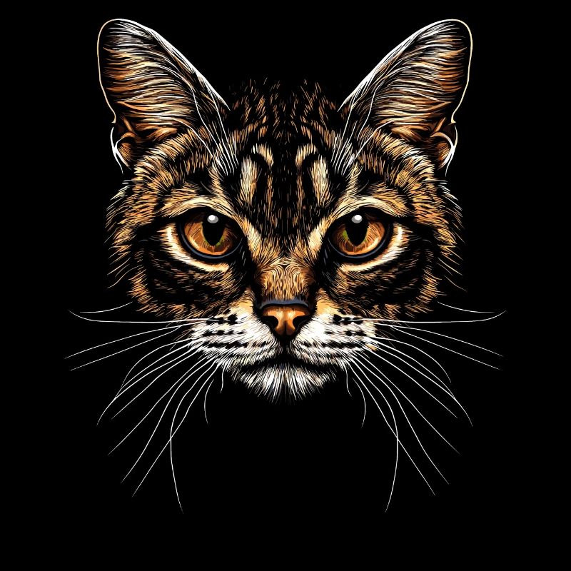Chat Bengal Chat Léopard Chat Leopardette Chats Bengale