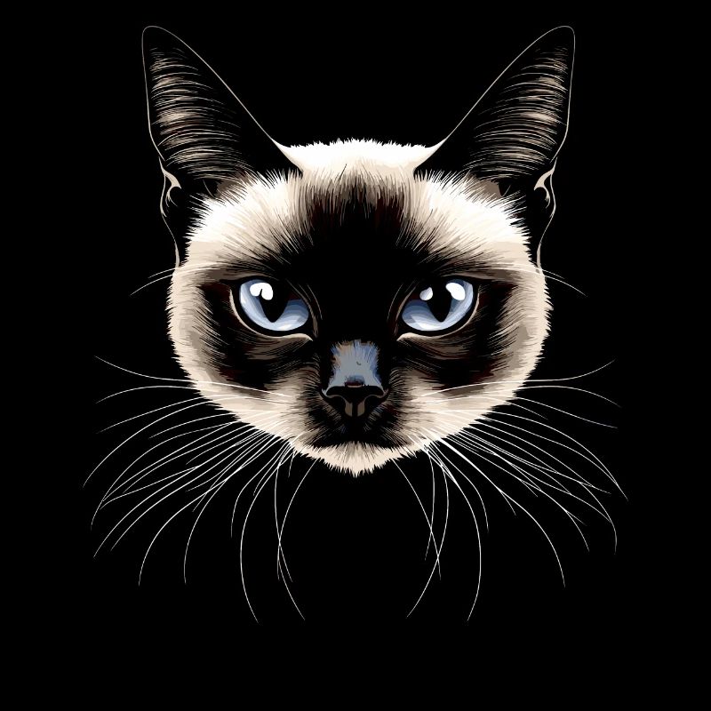 Siamese Cat Siamese Cat Siamese Cat Siamese Cats