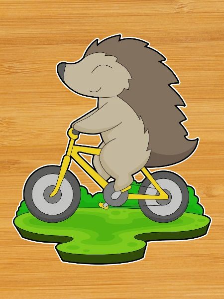 Vélo hérisson