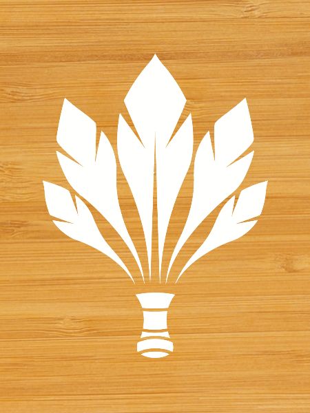 Badminton Federball