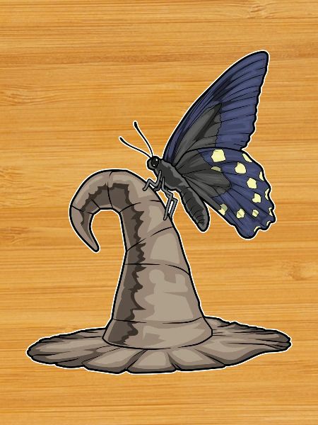 Butterfly Witch Witch Hat