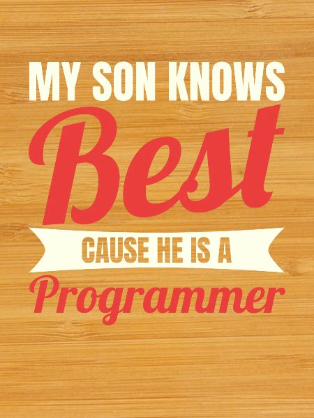 Fils développeur de logiciels