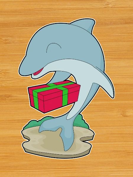 Dolphin Christmas Package