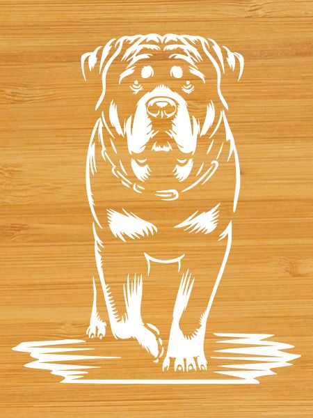 Rottweiler « Black Edition »