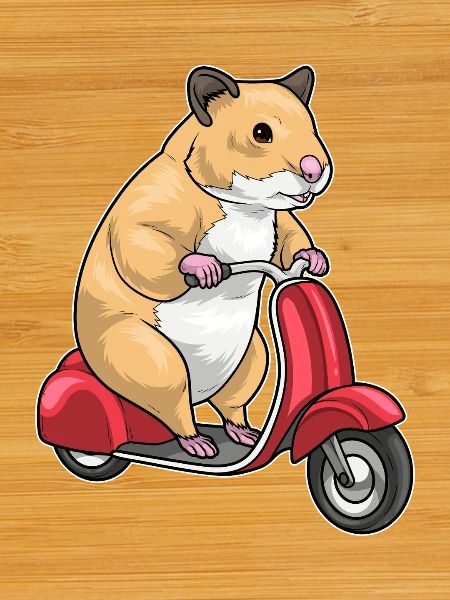 Hamster Scooter